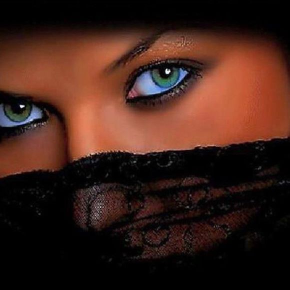 Meet your Posher, Matilda - Picture 1 of 1